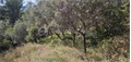 Image du bien UBI450869495